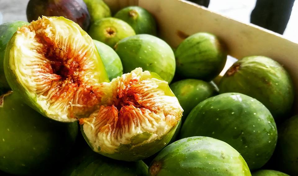 Al momento stai visualizzando Fichi e Fichi d’india: i frutti più gustosi dell’estate salentina!